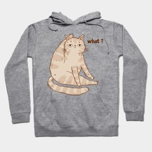 What? cat Hoodie